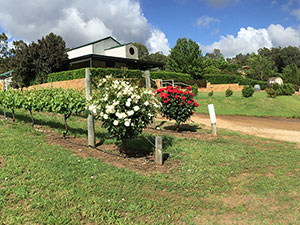 Myatts Field Winery