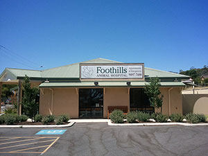 Foothills Animal Hospital